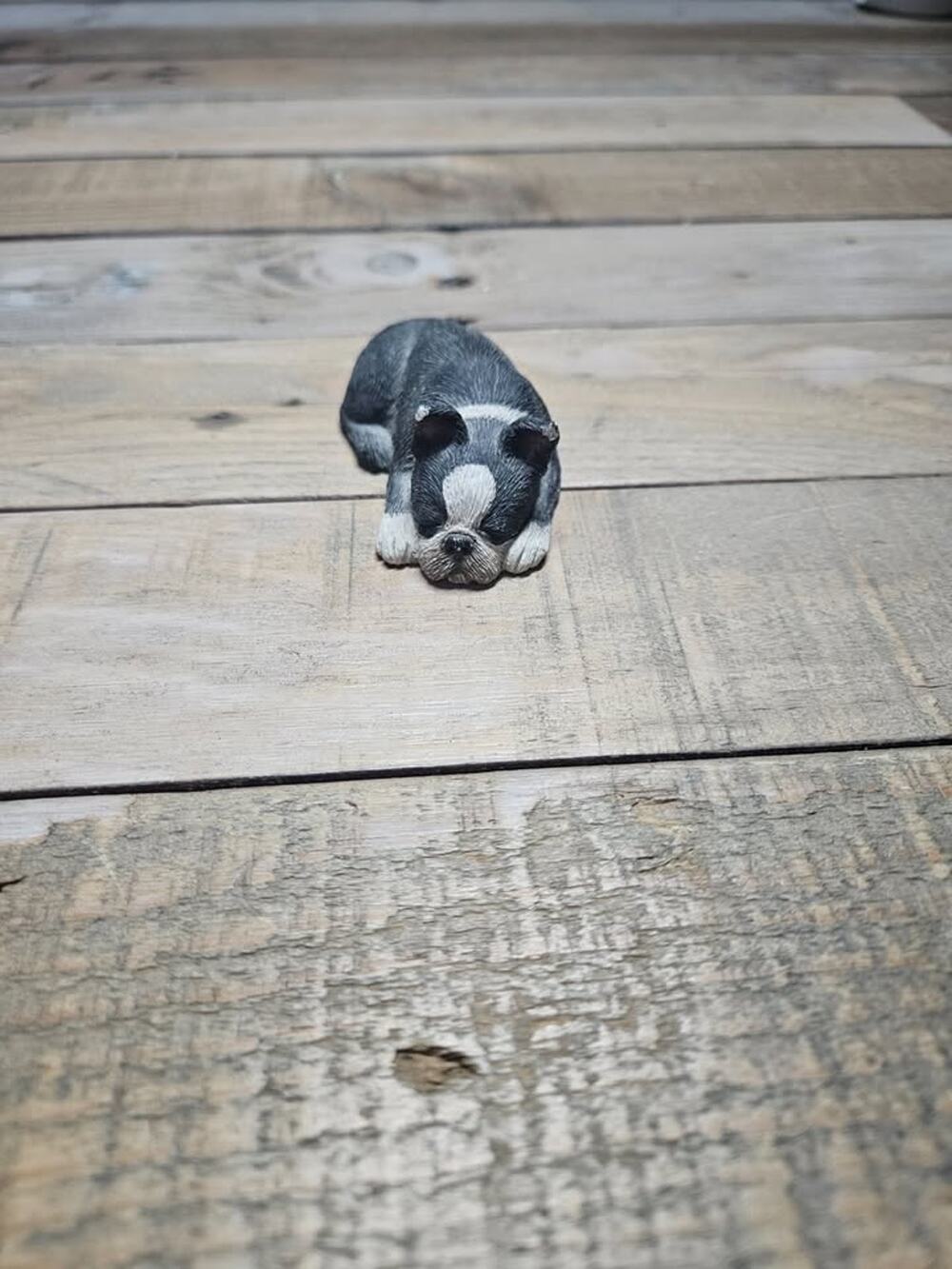 Sandicast Boston Terrier "sniffles"